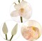 15" White Silk Cymbidium Orchid Stem - Elegant & Lifelike Floral Decor for Any Space